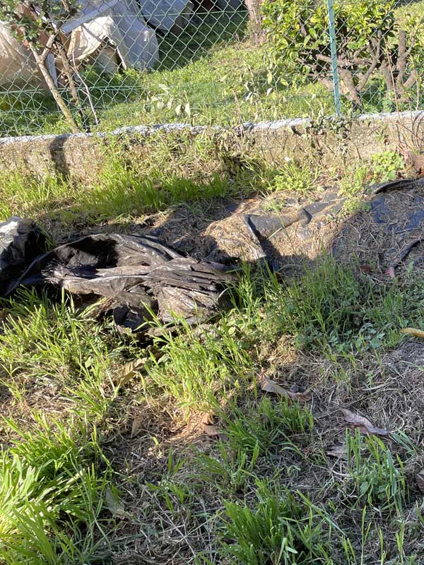 Entretien de jardin en Lozère