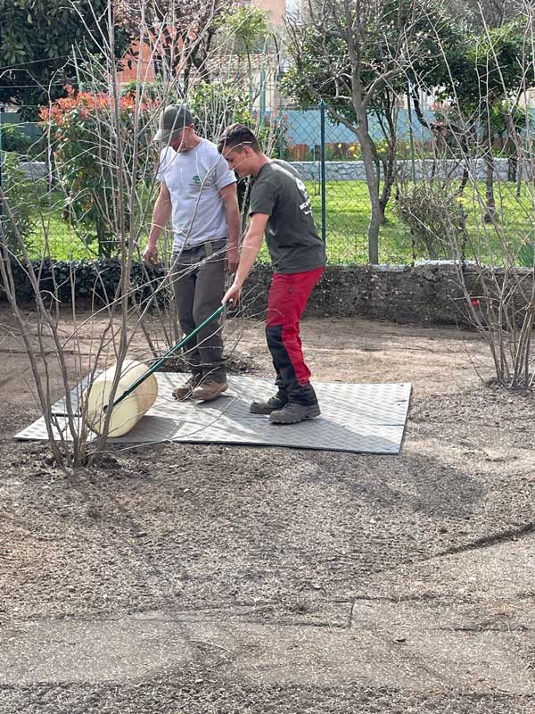 Création de jardin à Alès