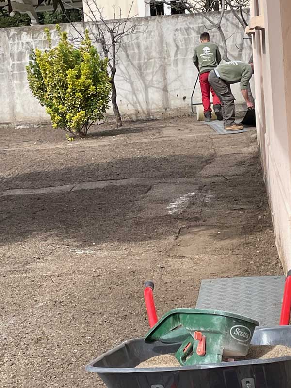 Création de jardin à Alès