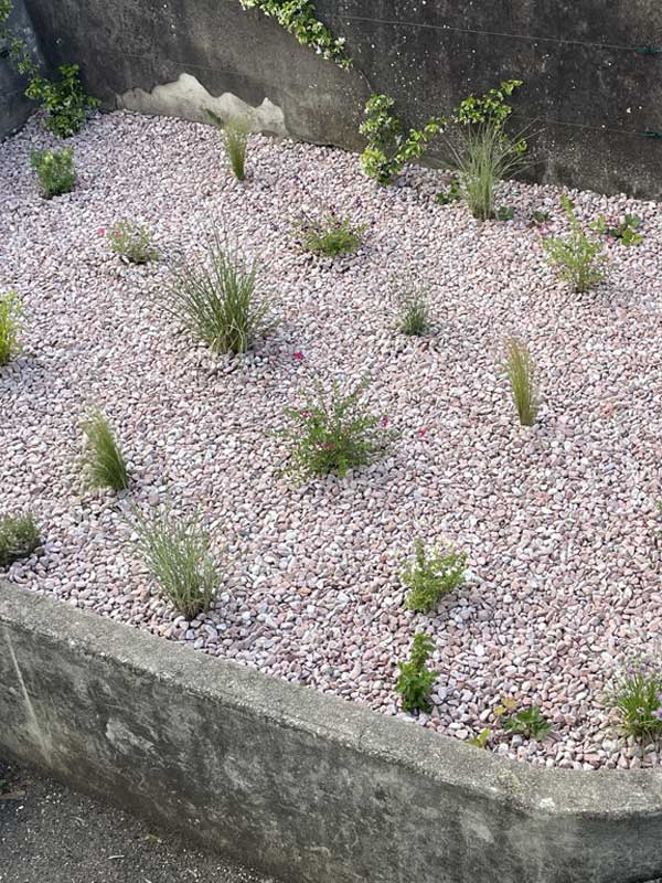 campana-elagage-espaces-verts-debroussaillage-jardin-ales-creation17
