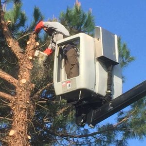 Camion nacelle Campana Elagage